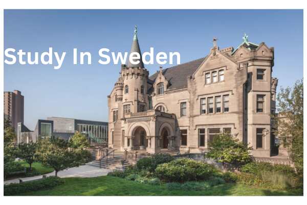 Swedish Institute Scholarships for Global Professionals: Empowering Global Leaders