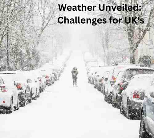 Weather Unveiled: Challenges for UK's Ecosystems and Wildlife Amid Winter's Impact