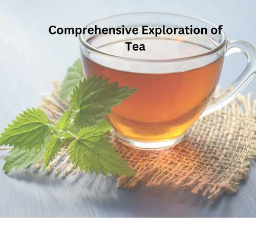 Green Tea Unveiled: A Comprehensive Expedition into the Global Tea Landscape
